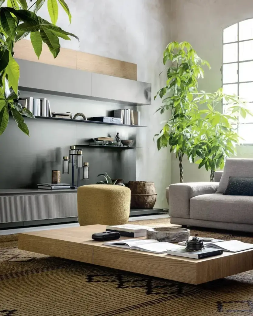Wandkast met open planken boven een lage kast, een salontafel van eiken en een boograam met planten