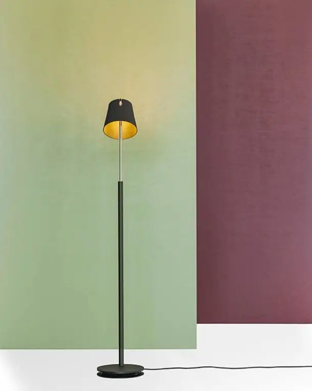 Een zwarte vloerlamp met een goudkleurige binnenkant voor een groen en een paars vlak