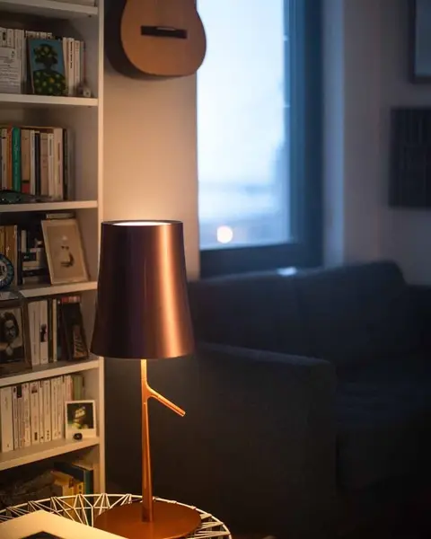 Een koperen vloerlamp met een kap op een dunne tak brandt naast een boekenkast en een gitaar