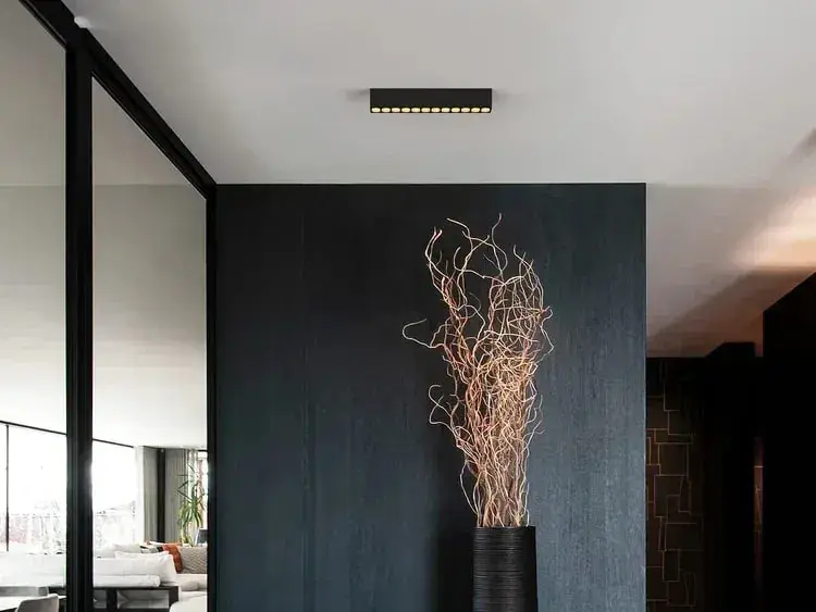 Een opbouwspot aan het plafond boven een donkere houten wand met een hoge zwarte vaas